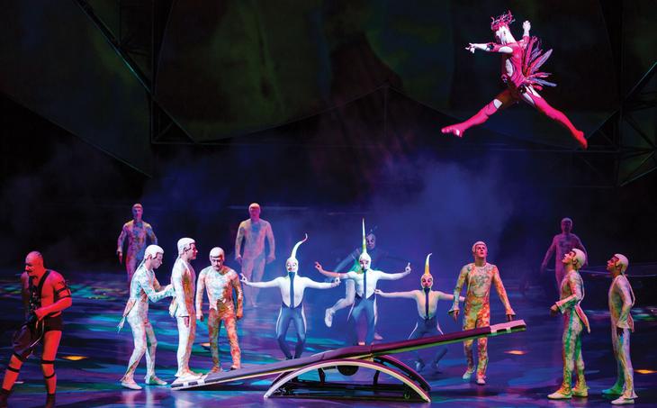 Show em las vegas - cirque du soleil mistere