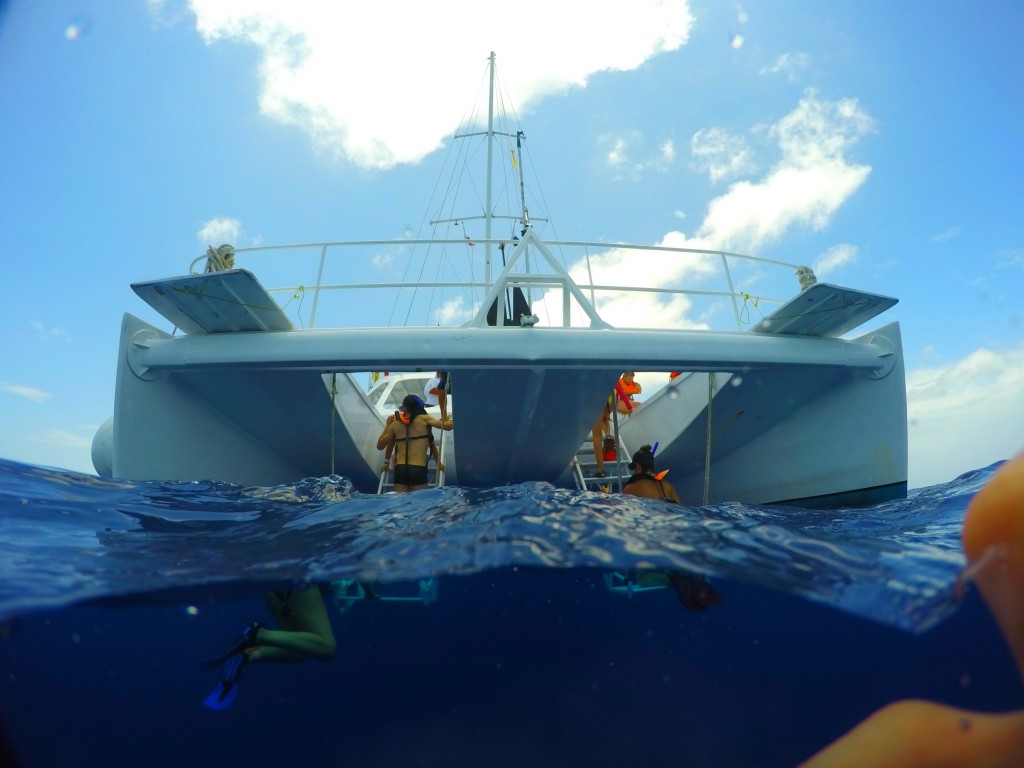 DCIM100GOPROG1452548.