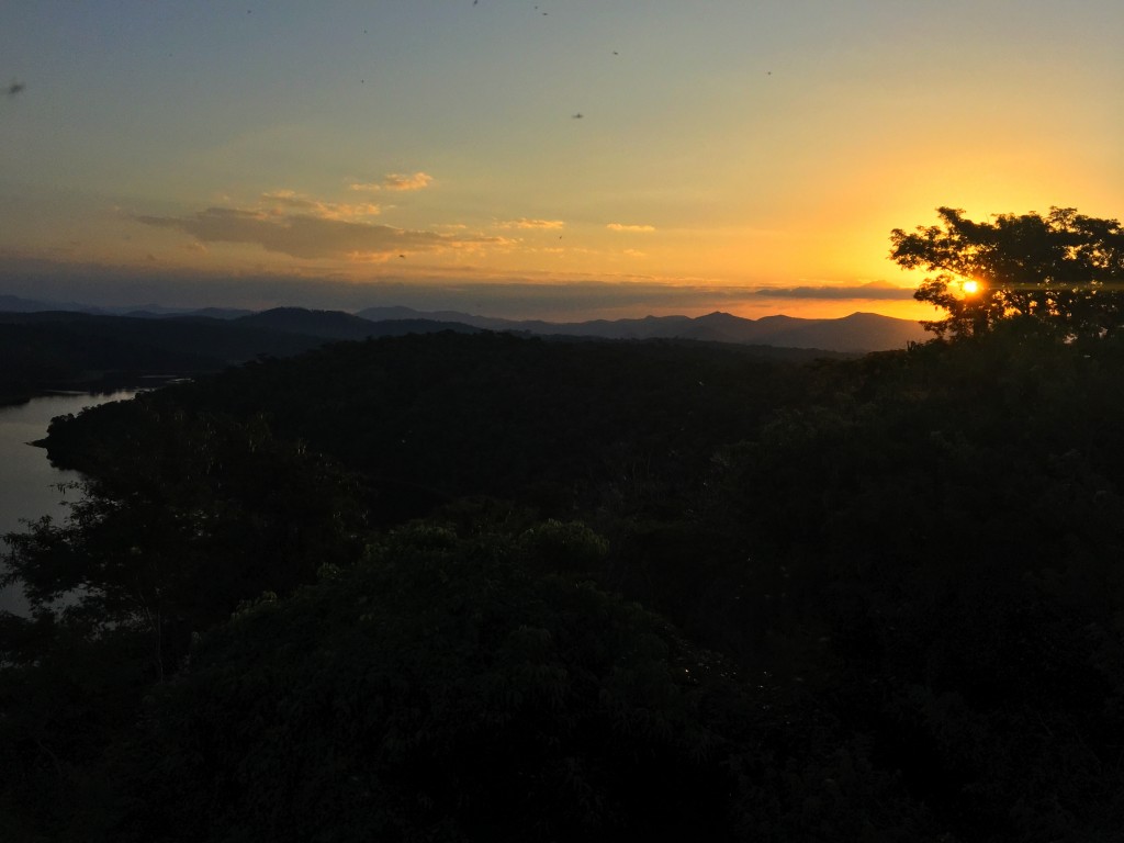 Parque Estadual do Rio Doce - O que fazer e como chegar? 15