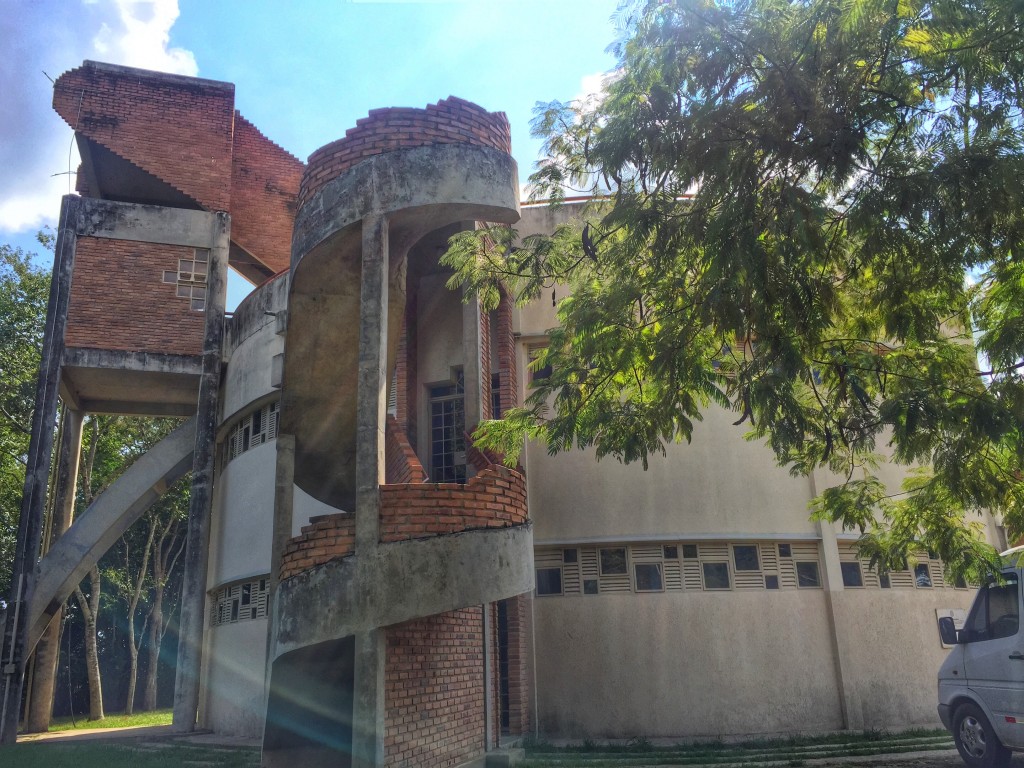 Parque Estadual do Rio Doce - O que fazer e como chegar? 16