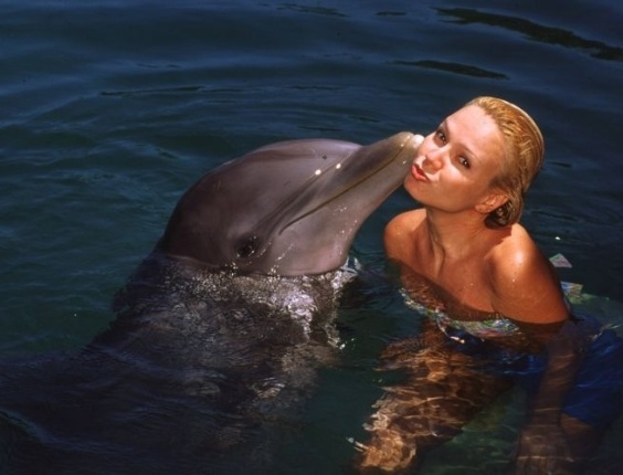 Quanto custa nadar com Golfinhos em Cancun?