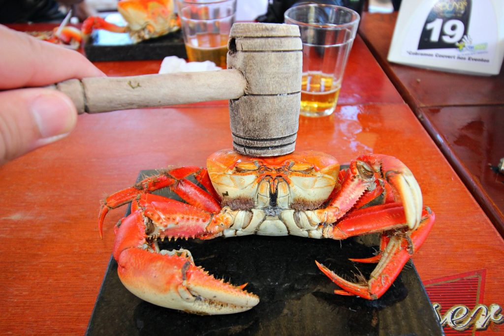 O que fazer em Aracaju 6