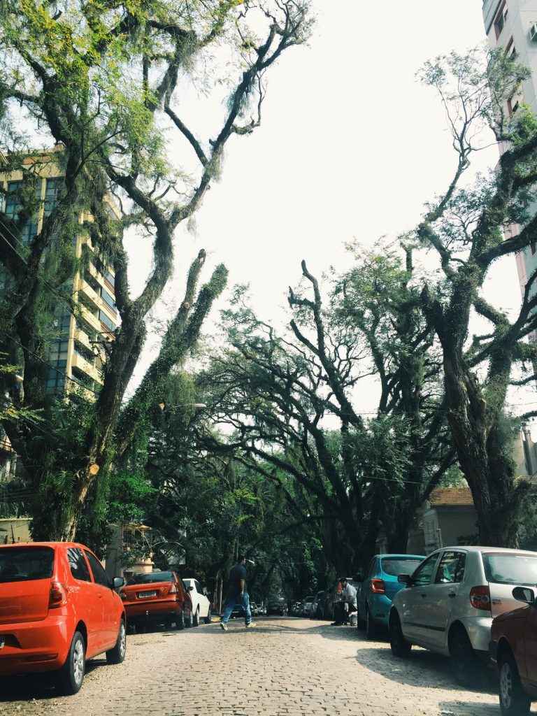 Processed with VSCO with g3 preset