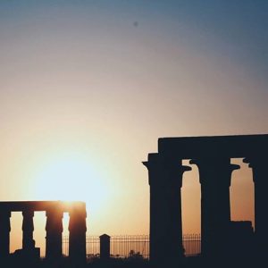 13725769_316505805349044_508563069_n