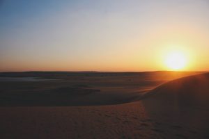 Processed with VSCO with hb2 preset