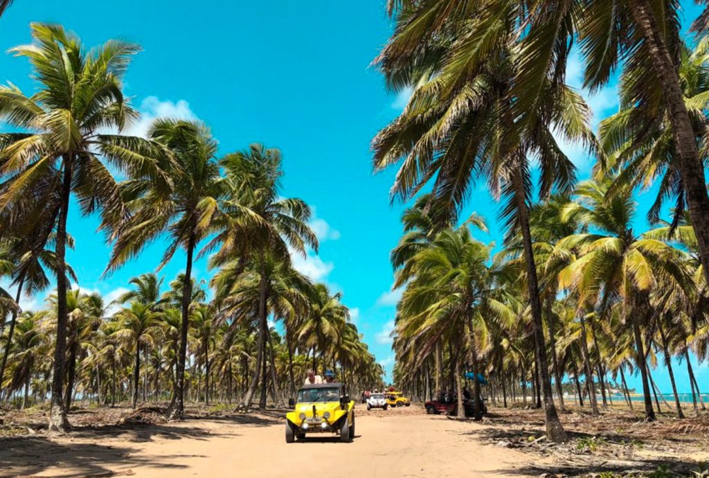 O que fazer em porto de galinhas