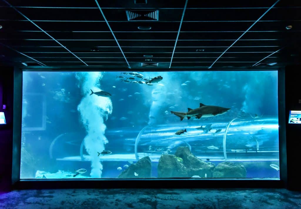 AquaRio é opção de passeio no Rio de Janeiro com chuva