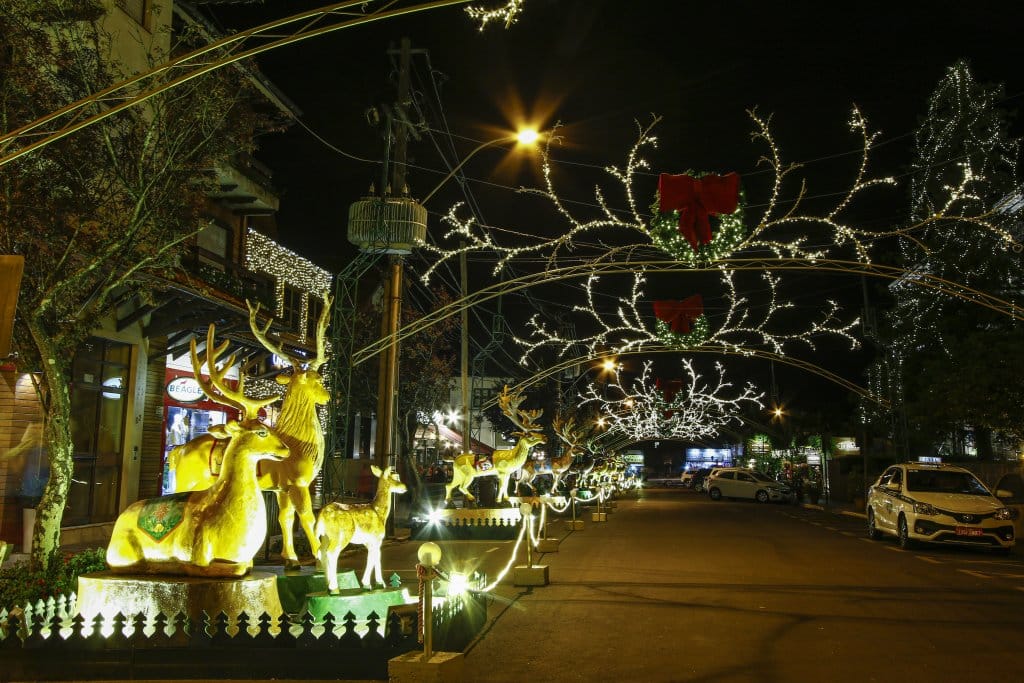 Natal Luz Gramado - Estevam pelo Mundo