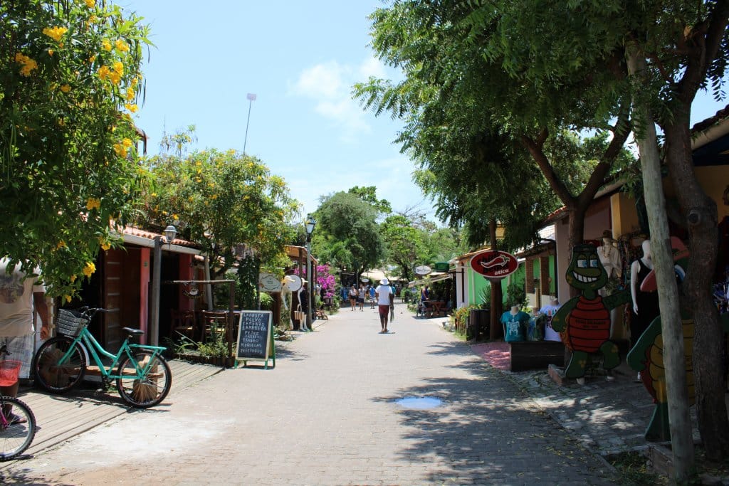 Praia do Forte - Estevam pelo Mundo