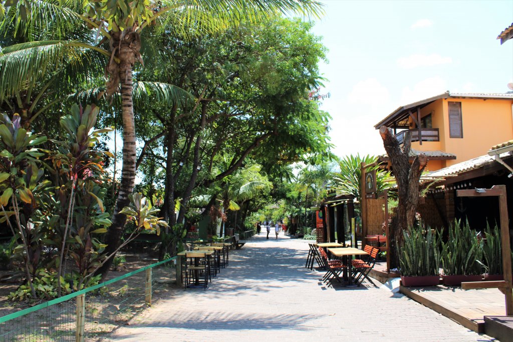 Praia do Forte - Estevam pelo Mundo