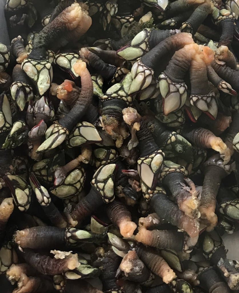 Gastronomia de Portugal