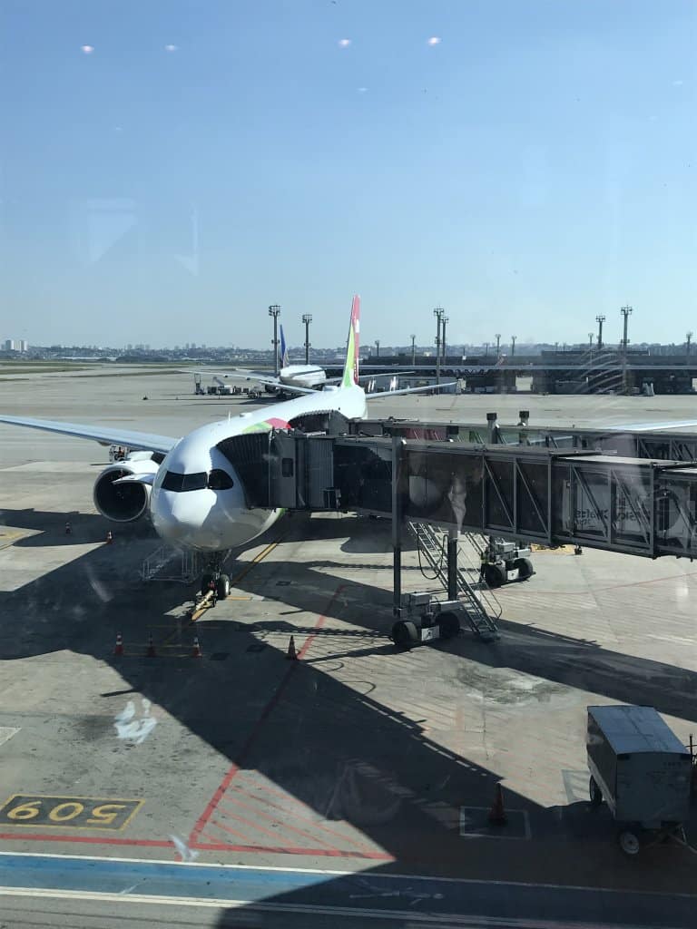 TAP A330neo - Estevam pelo Mundo TAP A330neo - Estevam pelo Mundo