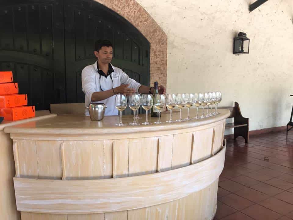 VINÍCOLA CONCHA Y TORO