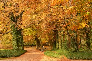 Polônia-Europa Polônia-Europa