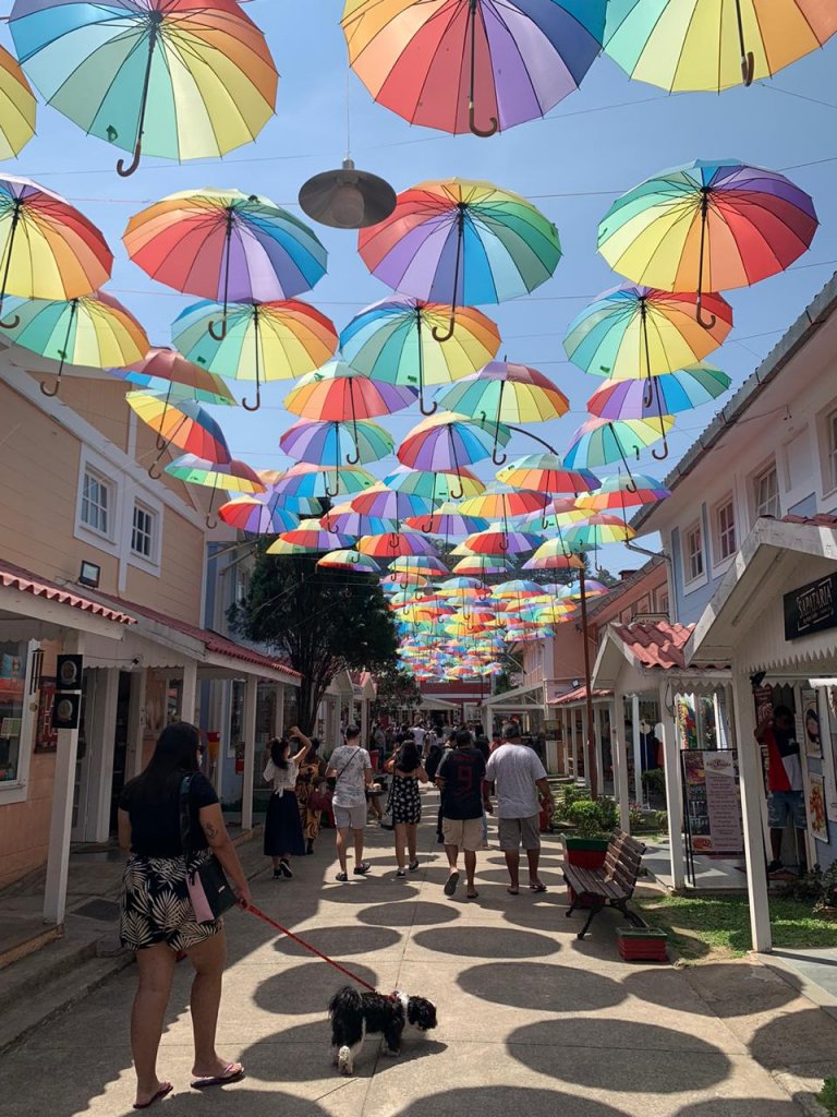 penedo-rio-de-janeiro