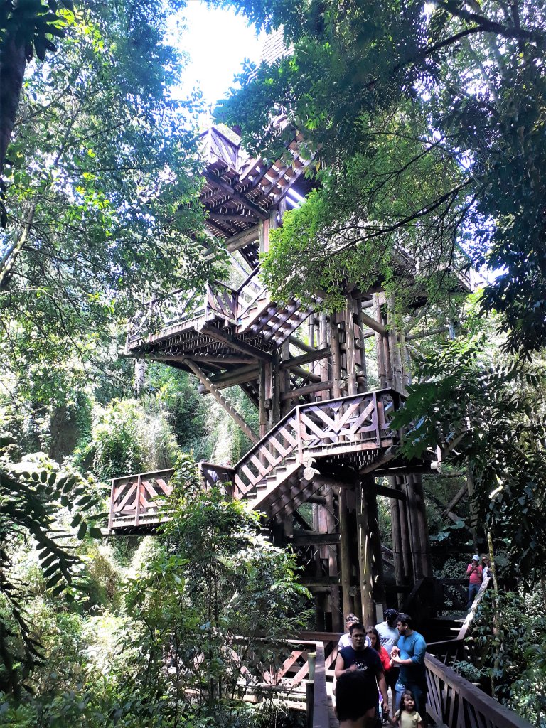 Curitiba-Paraná Curitiba-Paraná