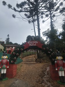 monte-verde monte-verde