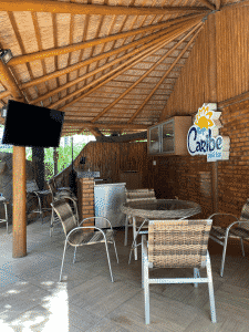 Estevam Pelo Mundo - Palmas Estevam Pelo Mundo - Palmas