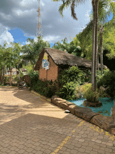 Estevam Pelo Mundo - Palmas Estevam Pelo Mundo - Palmas