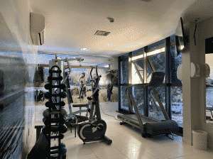 Estevam Pelo Mundo - Palmas Estevam Pelo Mundo - Palmas