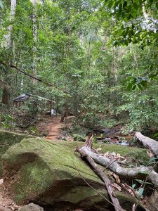 Taquaruçu - Estevam Pelo Mundo