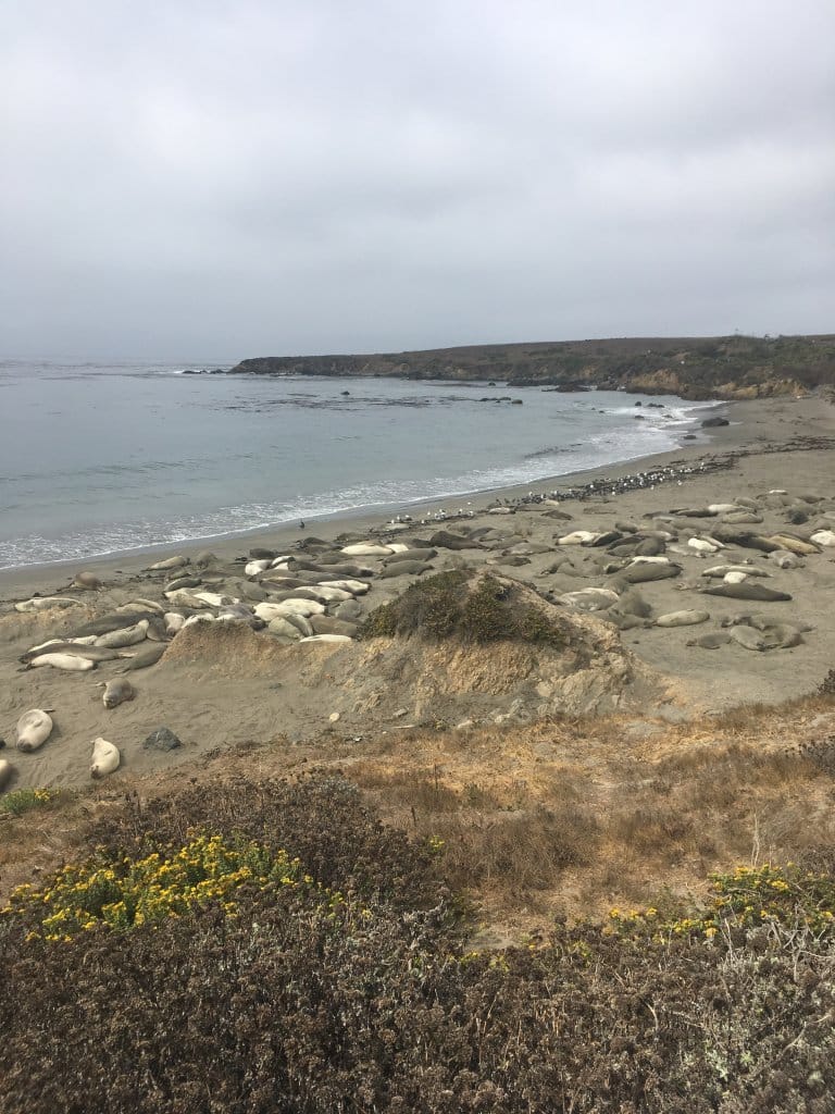 San-Francisco0Califórnia