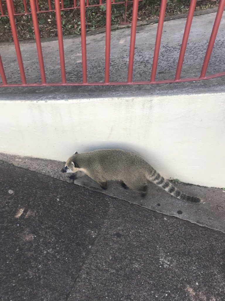 Cataratas do Iguaçu
