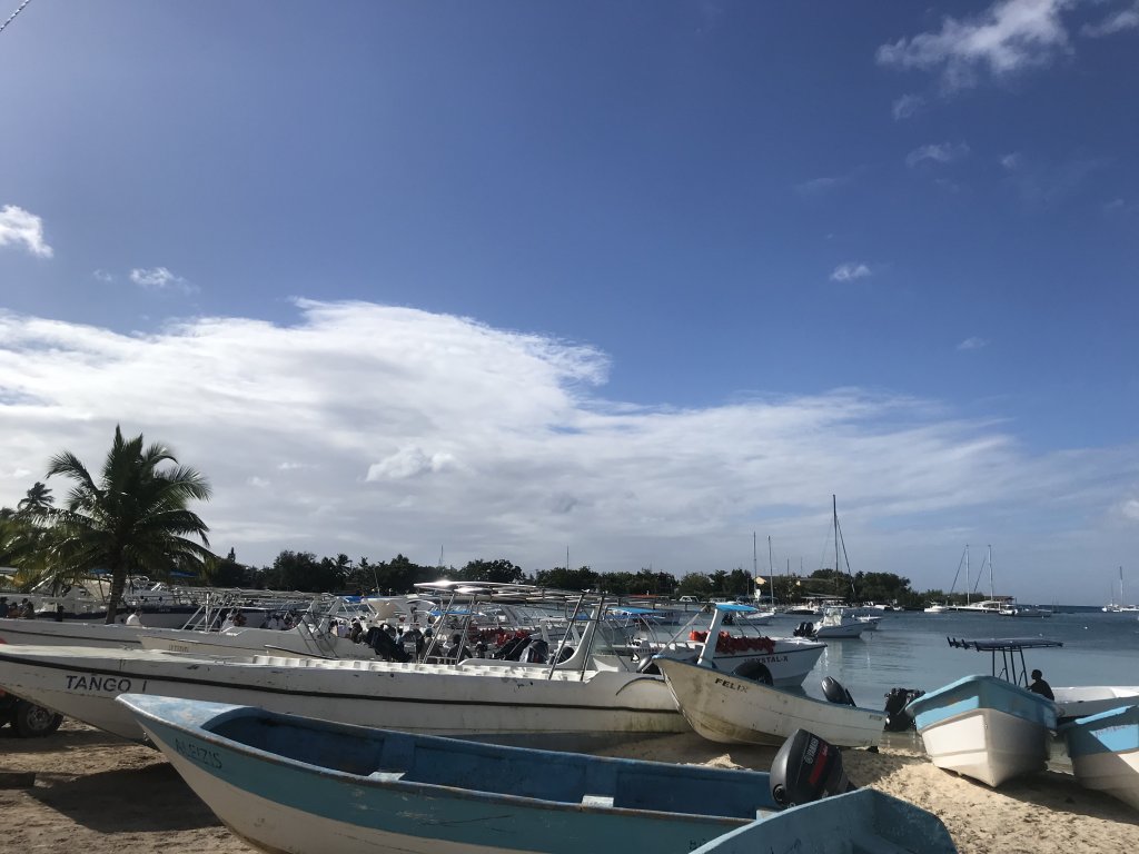 Punta-Cana Punta-Cana