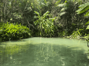 Jalapão - Fervedouro