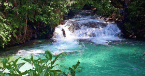 Jalapão - Estevam Pelo Mundo