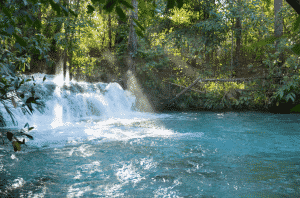 Jalapão - Estevam Pelo Mundo