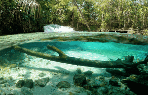 Jalapão - Estevam Pelo Mundo