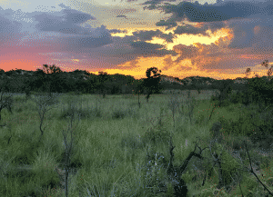 Jalapão - Pôr do sol - Estevam Pelo Mundo