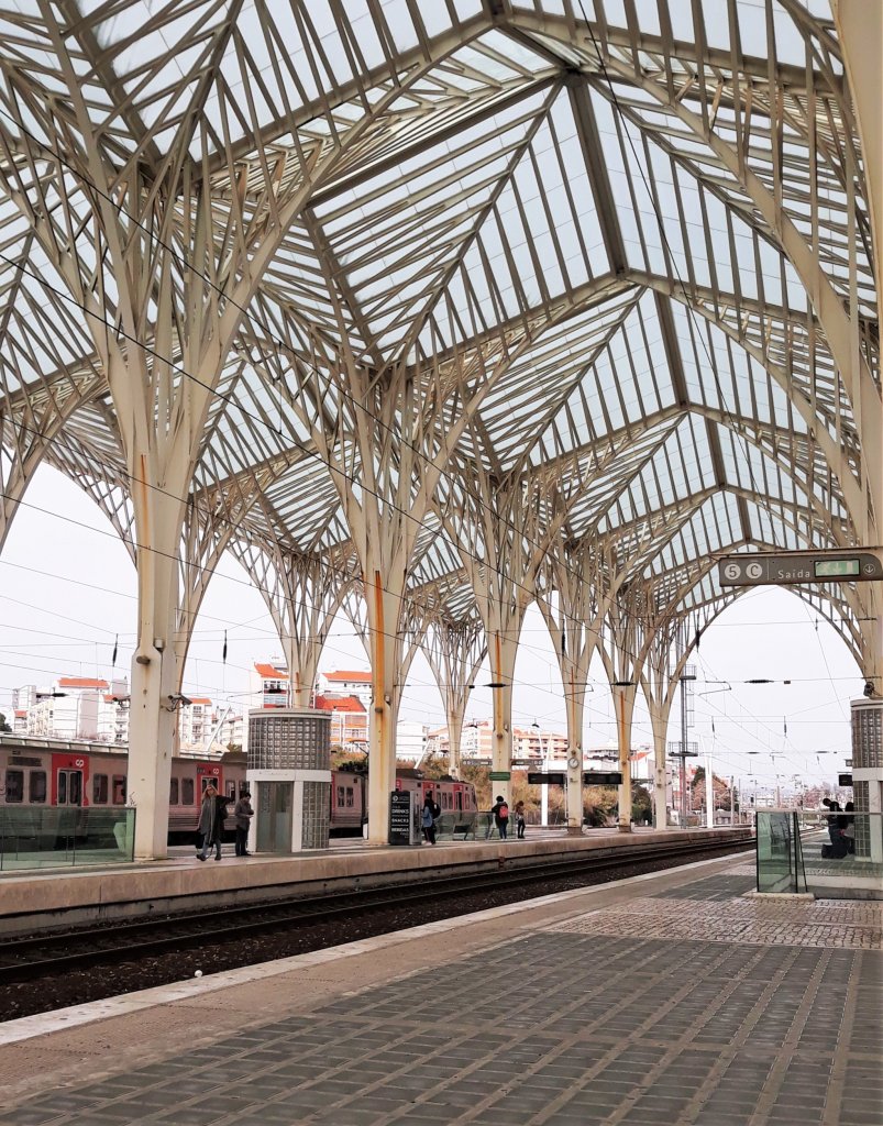 Cuidados antes de embarcar em uma viagem de trem