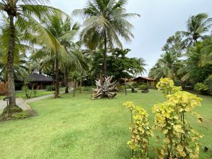 Wassu - Milagres - Estevam Pelo Mundo