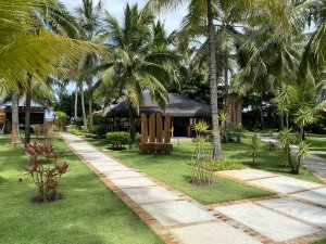 Wassu - Milagres - Estevam Pelo Mundo