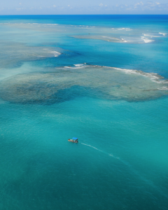 Wassu - Milagres - Estevam pelo Mundo