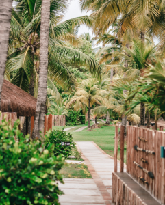 Wassu - Milagres - Estevam Pelo Mundo