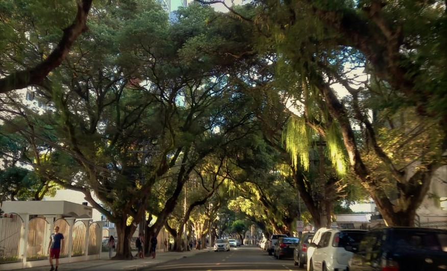 Corredor da Vitória