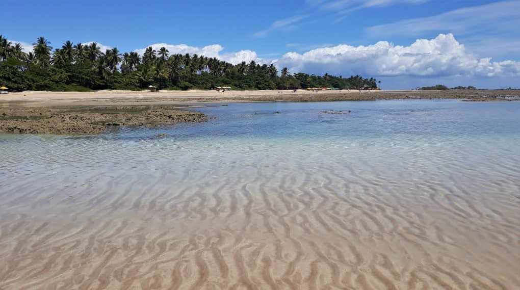 Passeios saindo de Salvador para fazer  no verão 