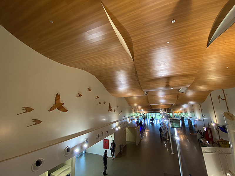 Lucas Estevam no Acre Aeroporto