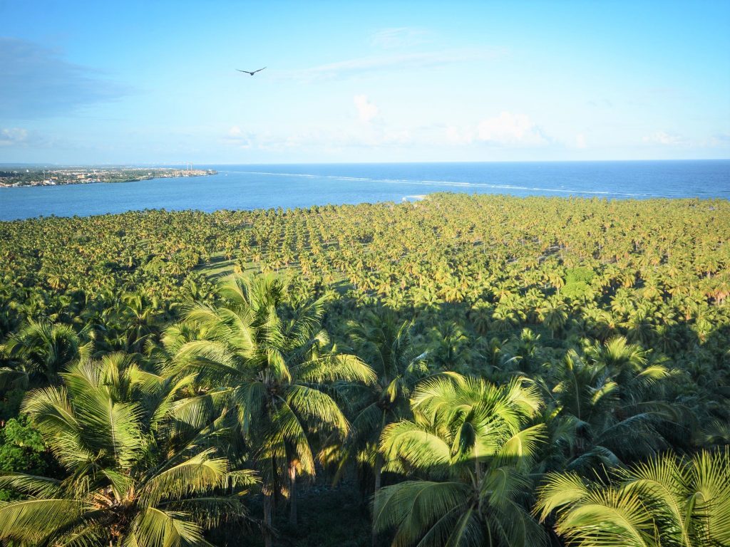 Viajar no verão para Barra de São Miguel