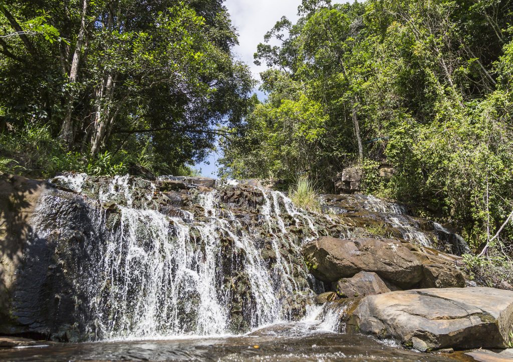 Gravatá interior de Pernambuco