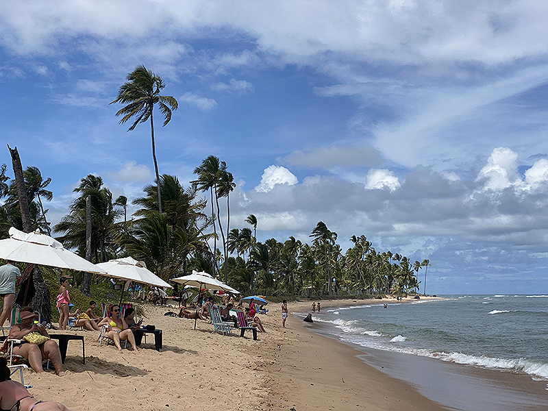Viajar no verão para Praia do Forte