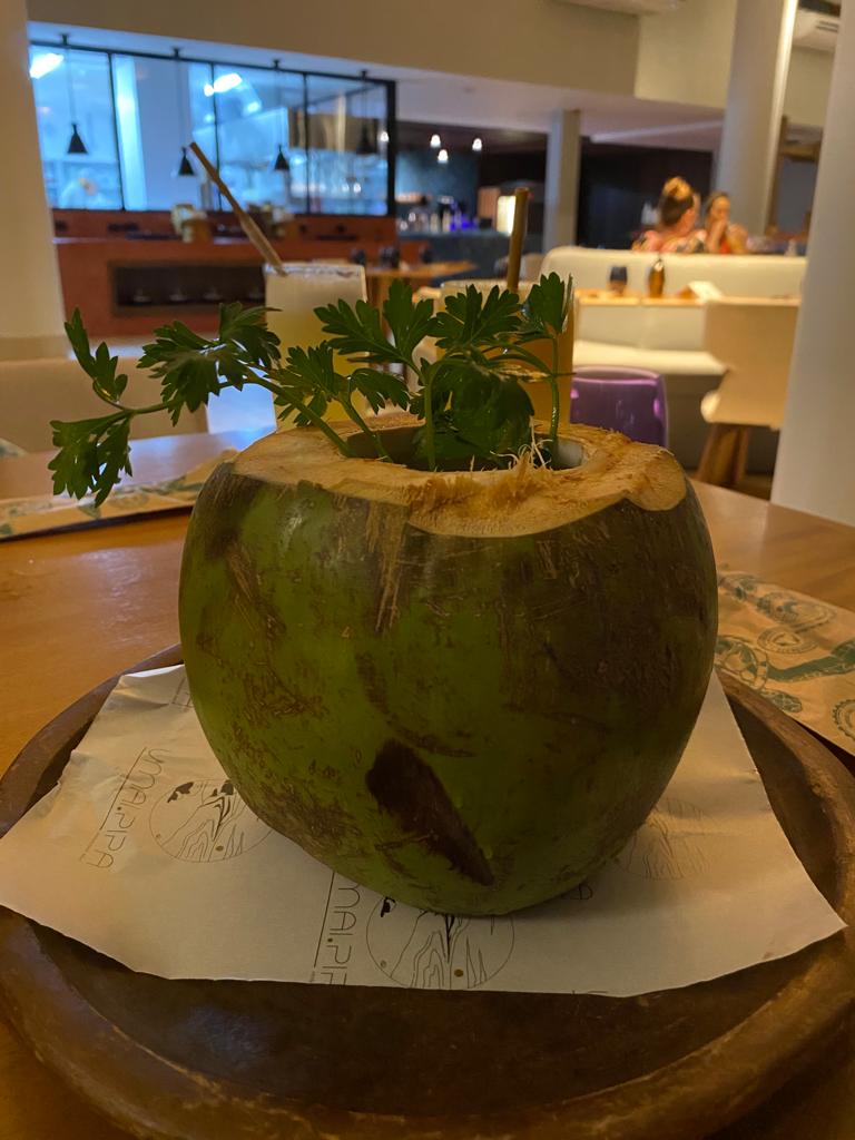 île-pipa-caldo-sururu