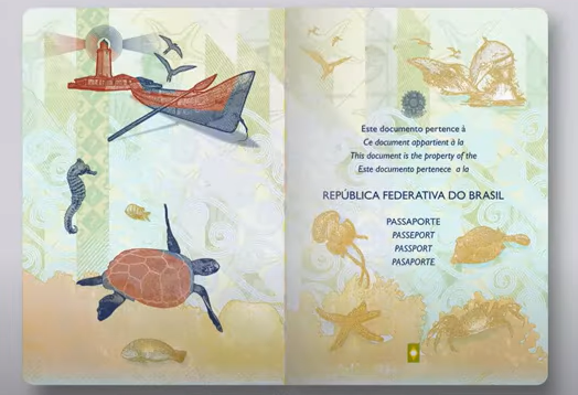 ovo passaporte brasileiro segurança