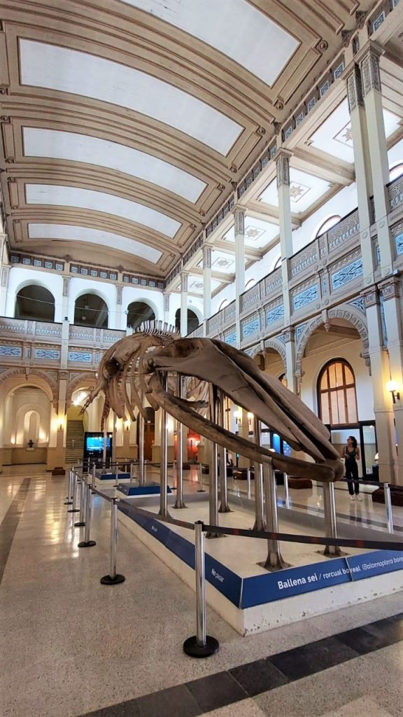 4 museus para visitar em Santiago de graça