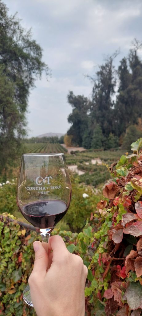 Vinícolas em Santiago do Chile 