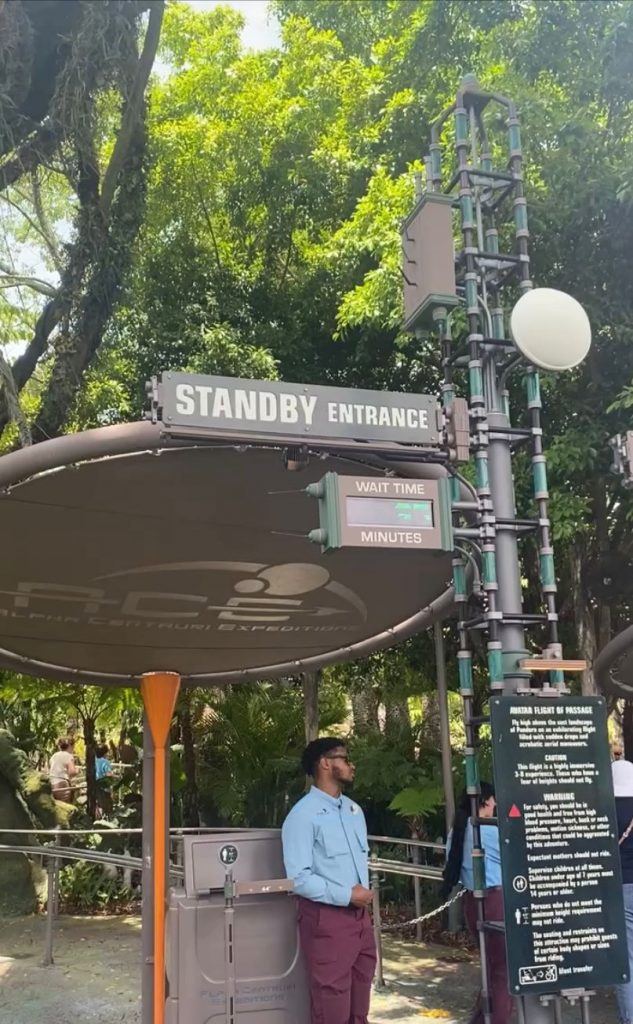 disney-orlando-visitas-guiadas