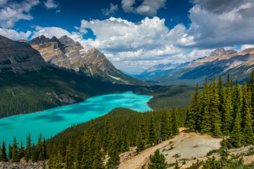 lago-peyto